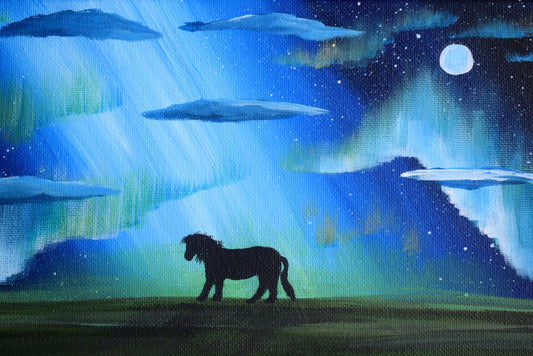 Aurora Borealis