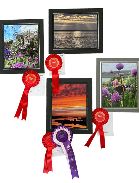 A Summer of Success at the Cunningsburgh and Voe Shows
