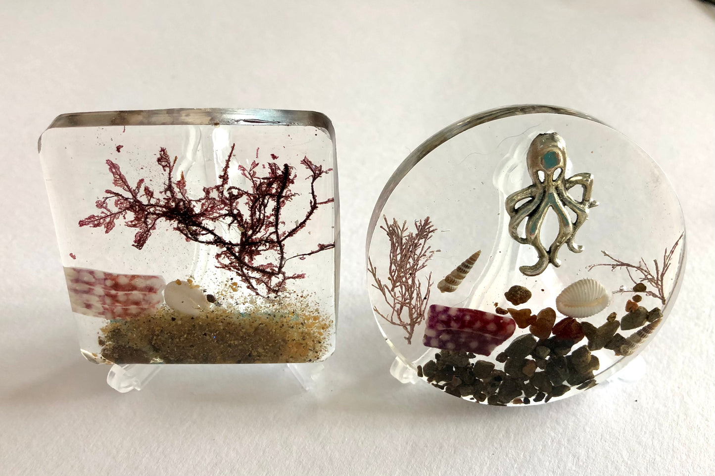Beach Treasure Ornament & Stand | Various Shapes