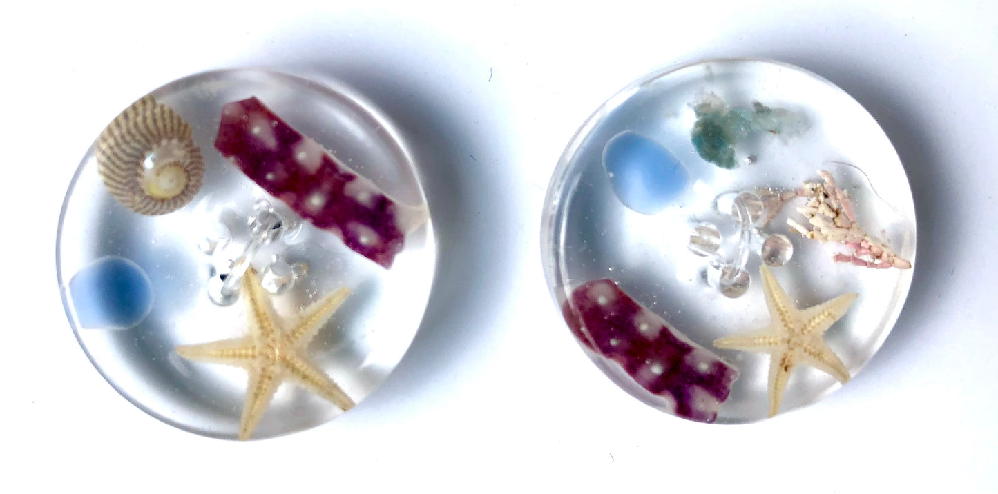 Shetland Beachcomber Treasure Resin Buttons