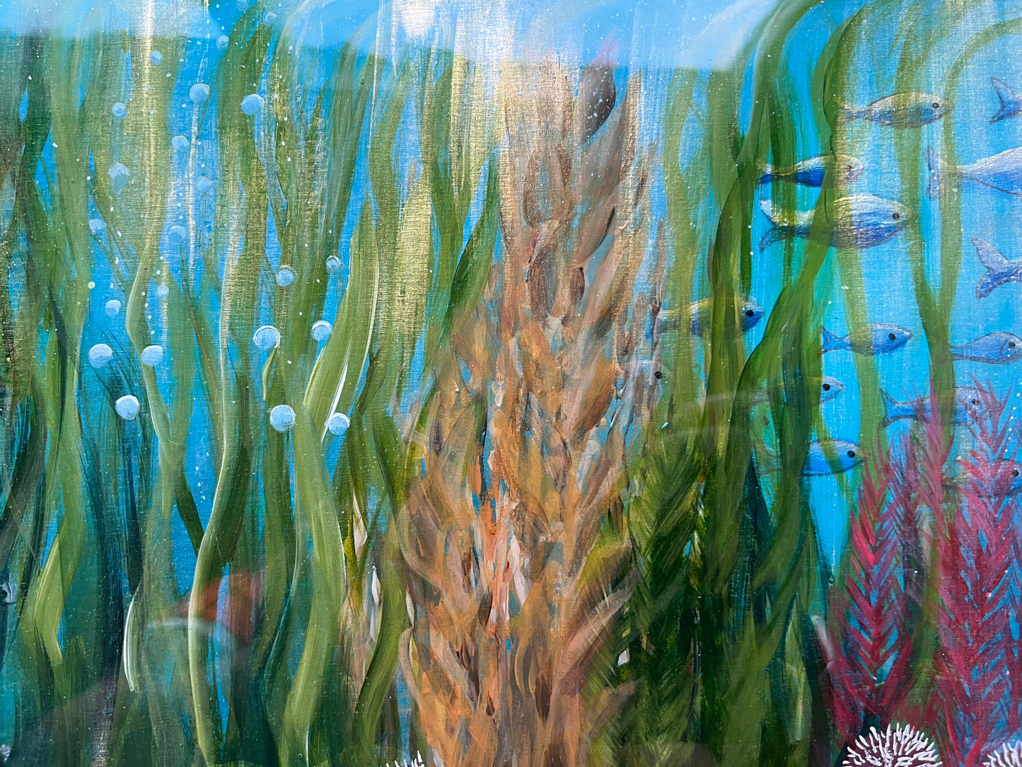 Underwater world