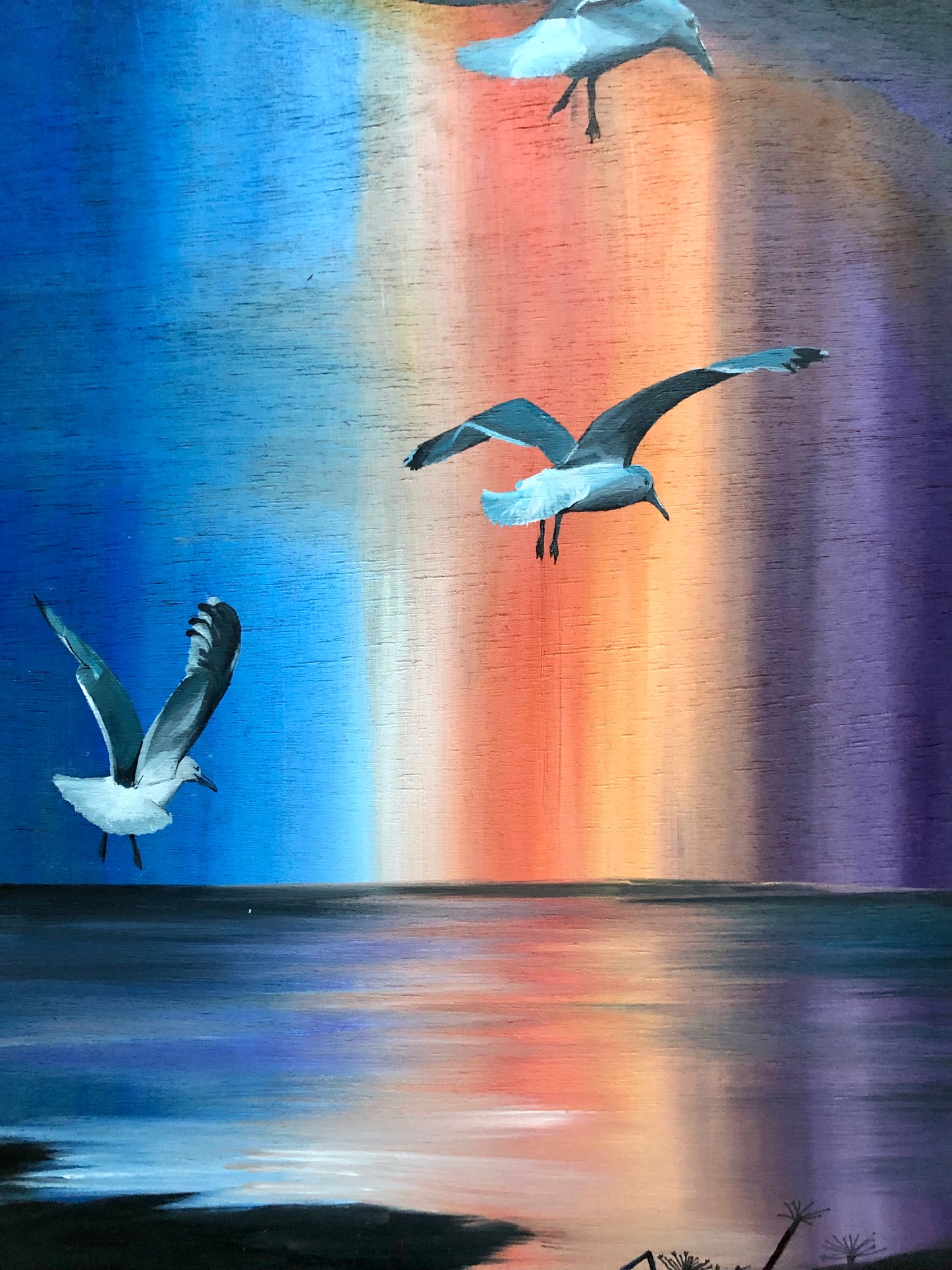 Seagulls & Purple Shetland Sunset Sky