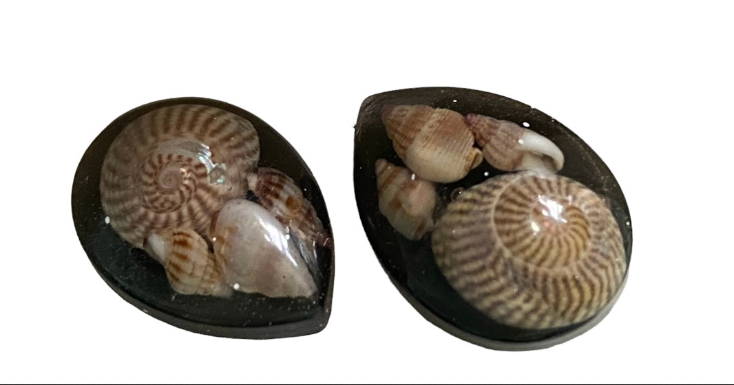 Shell studs, teardrop.