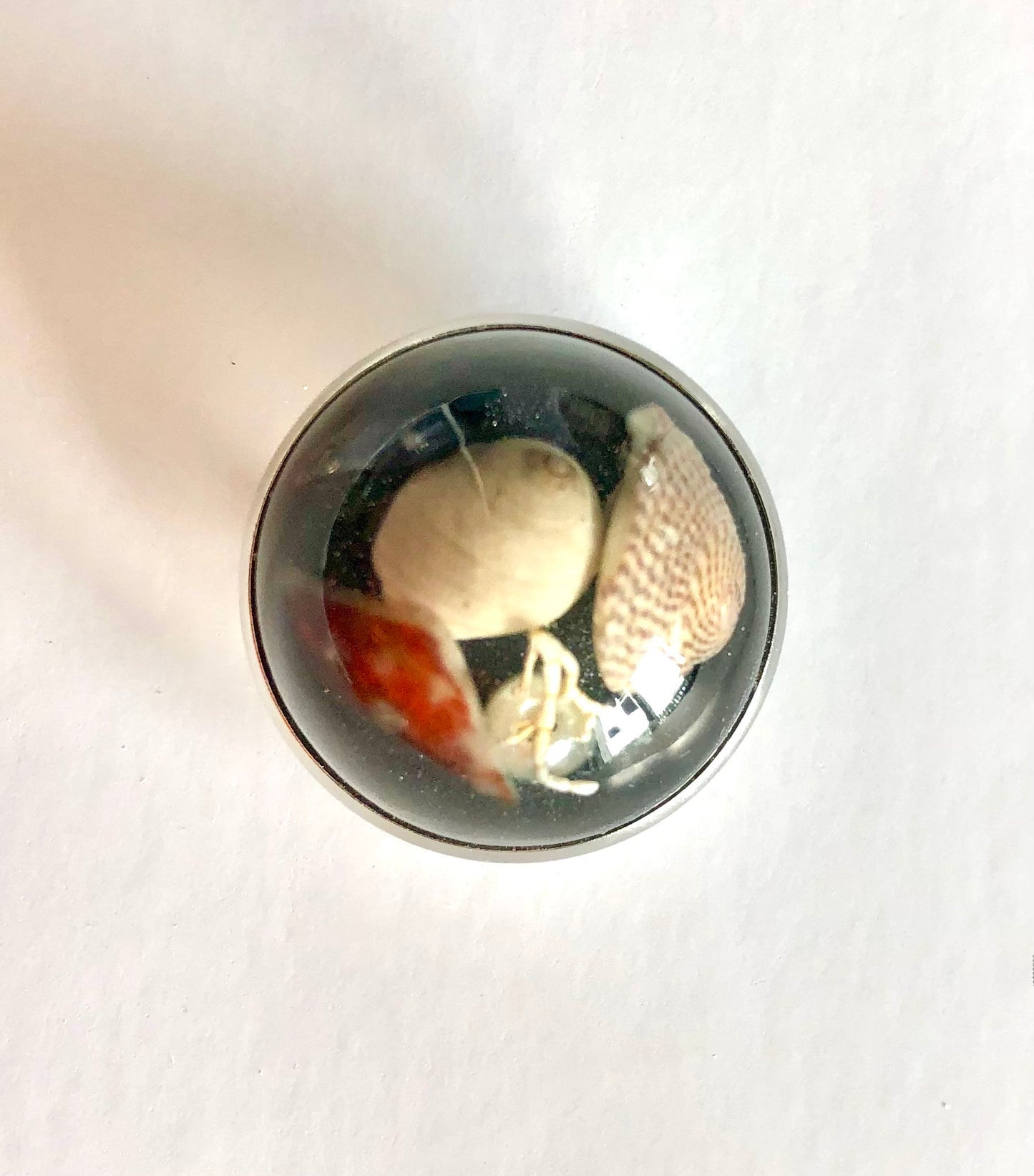 Beach Treasure Brooch Small Black Shimmer