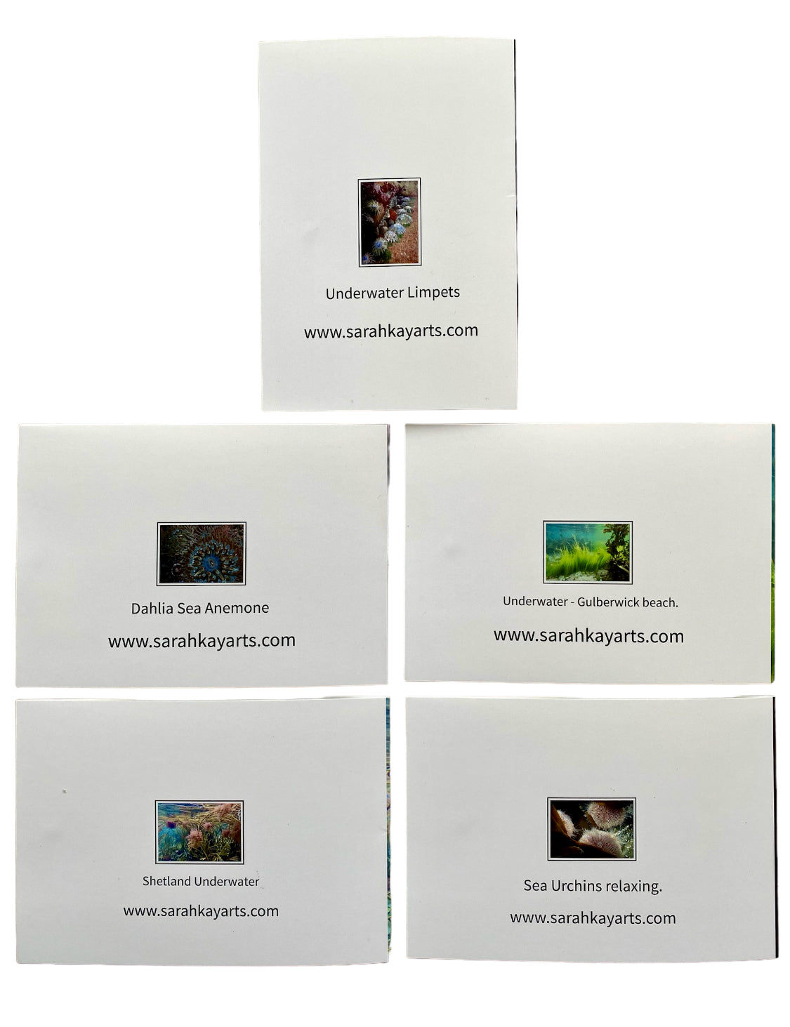 Underwater Printed Cards | Pack of 5