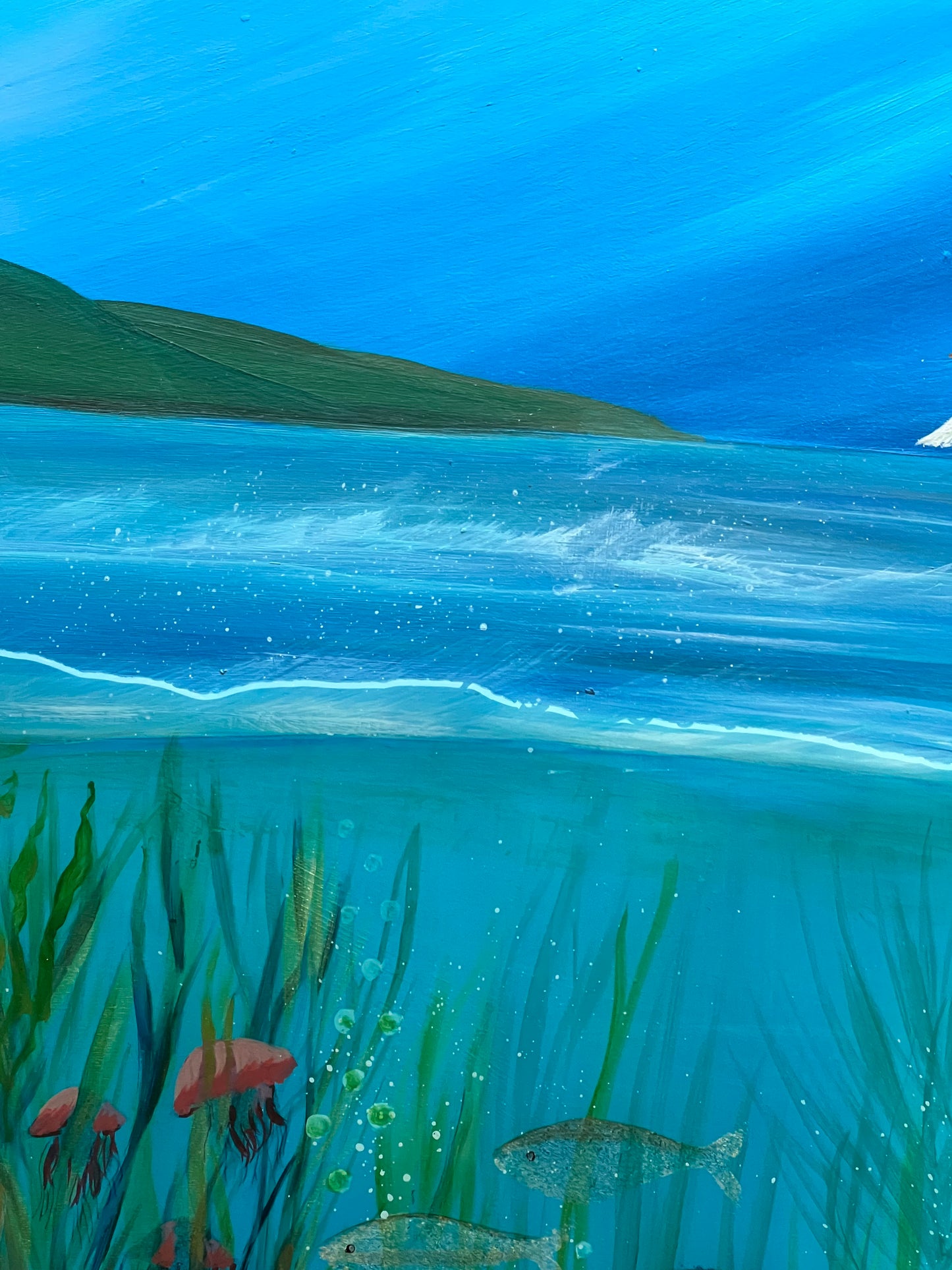 Ducks Underwater
