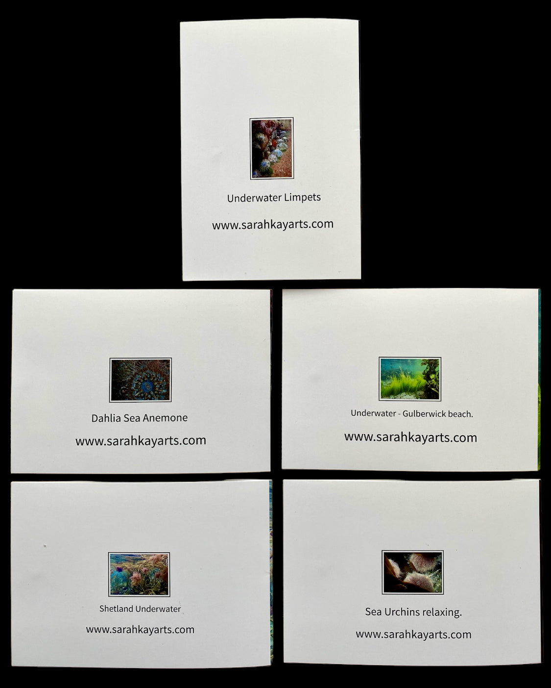Underwater Printed Cards | Pack of 5