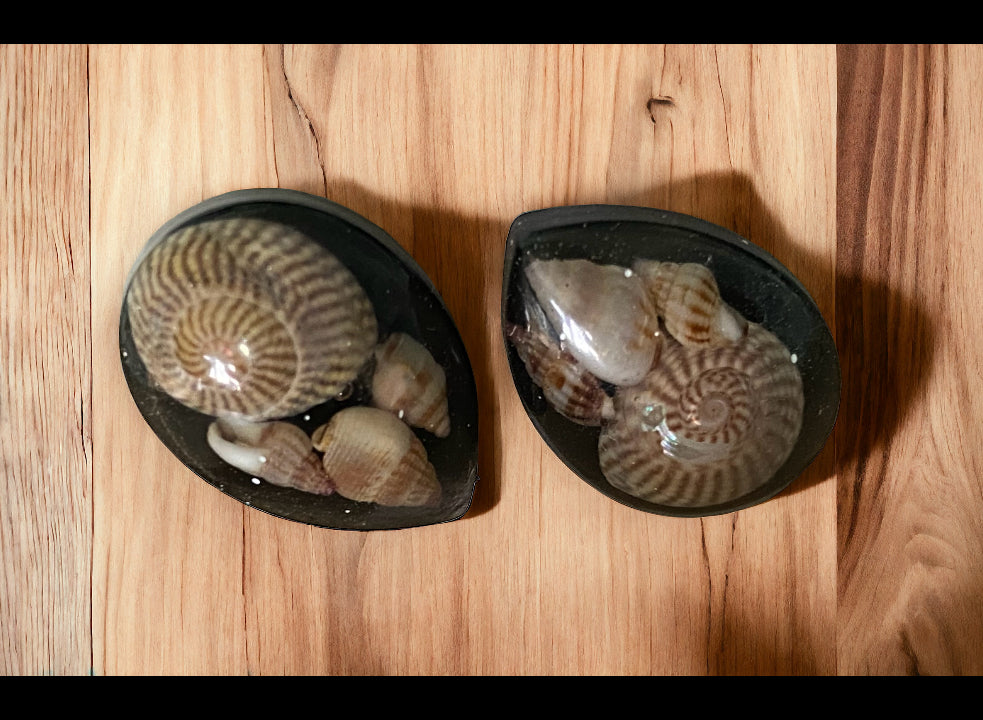 Shell studs, teardrop.