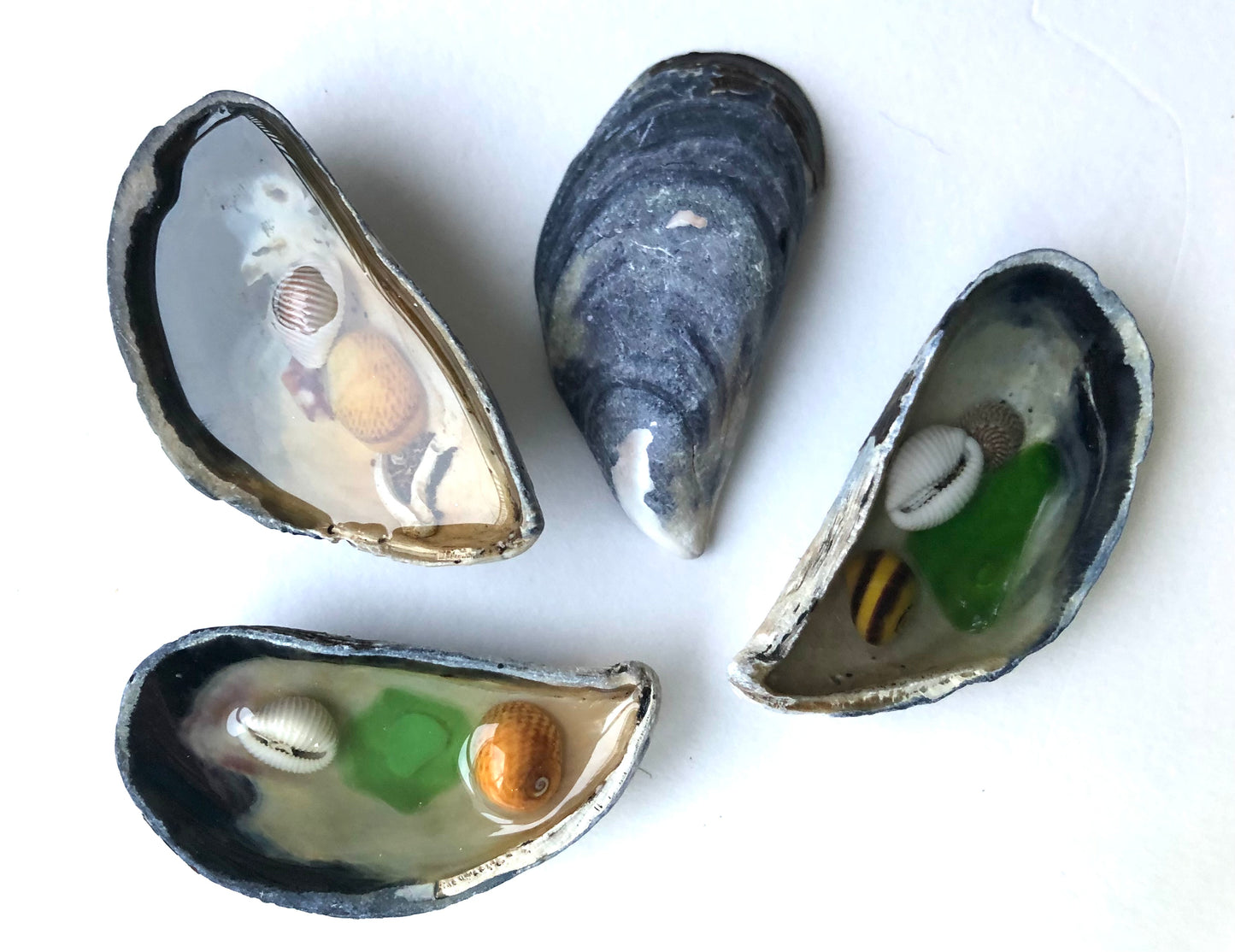 Resin Filled Shell puddles