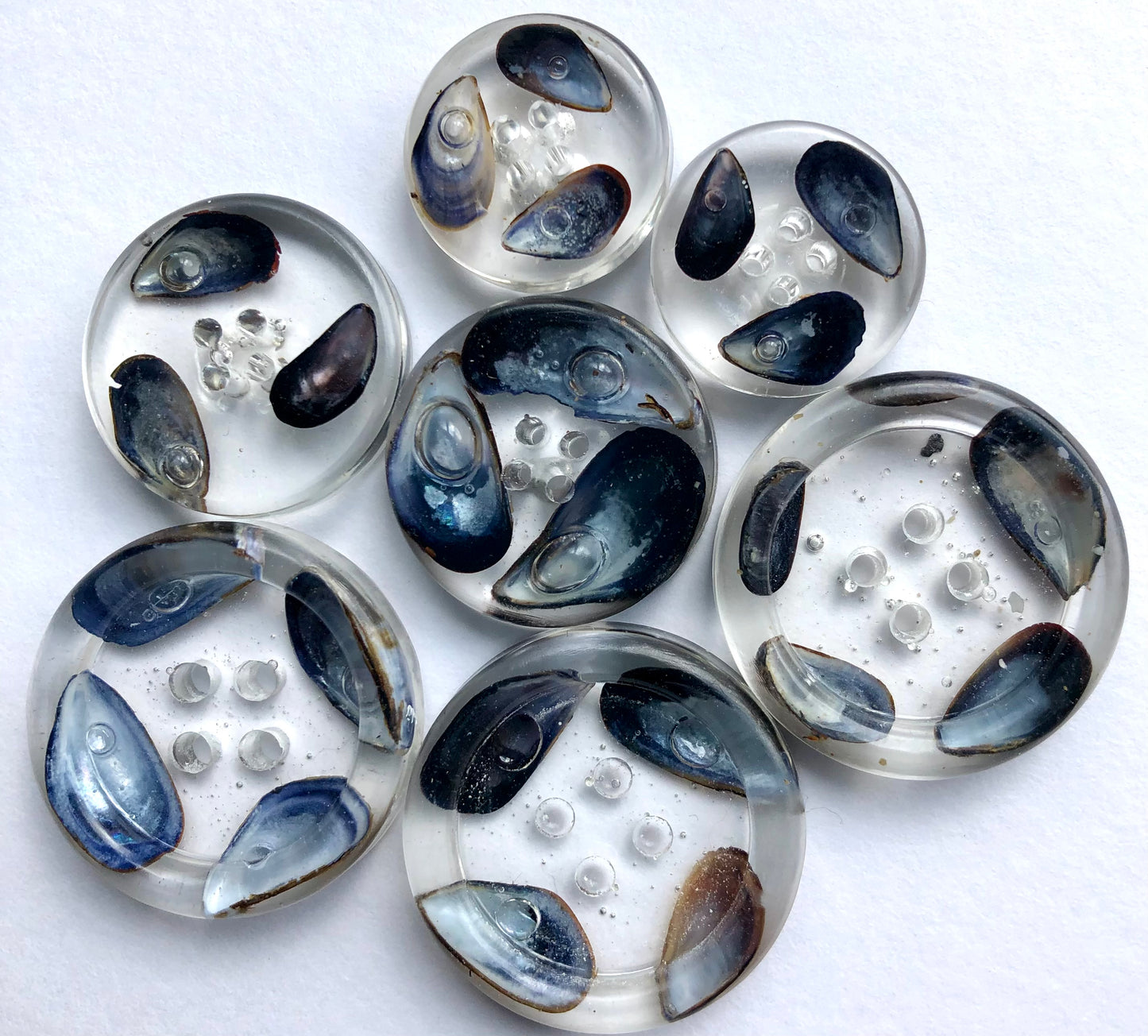 Shetland Mussel Shell Resin Buttons