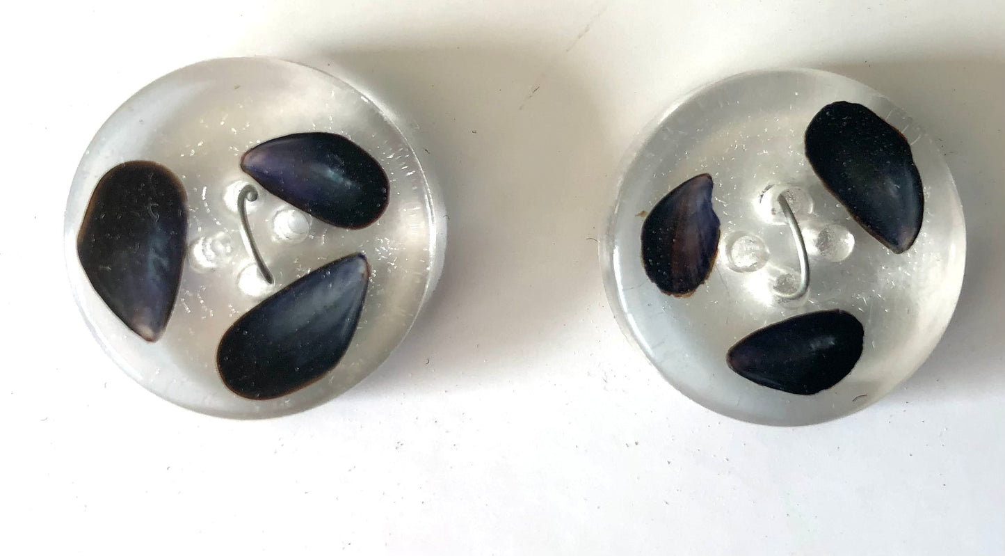 Shetland Mussel Shell Resin Buttons