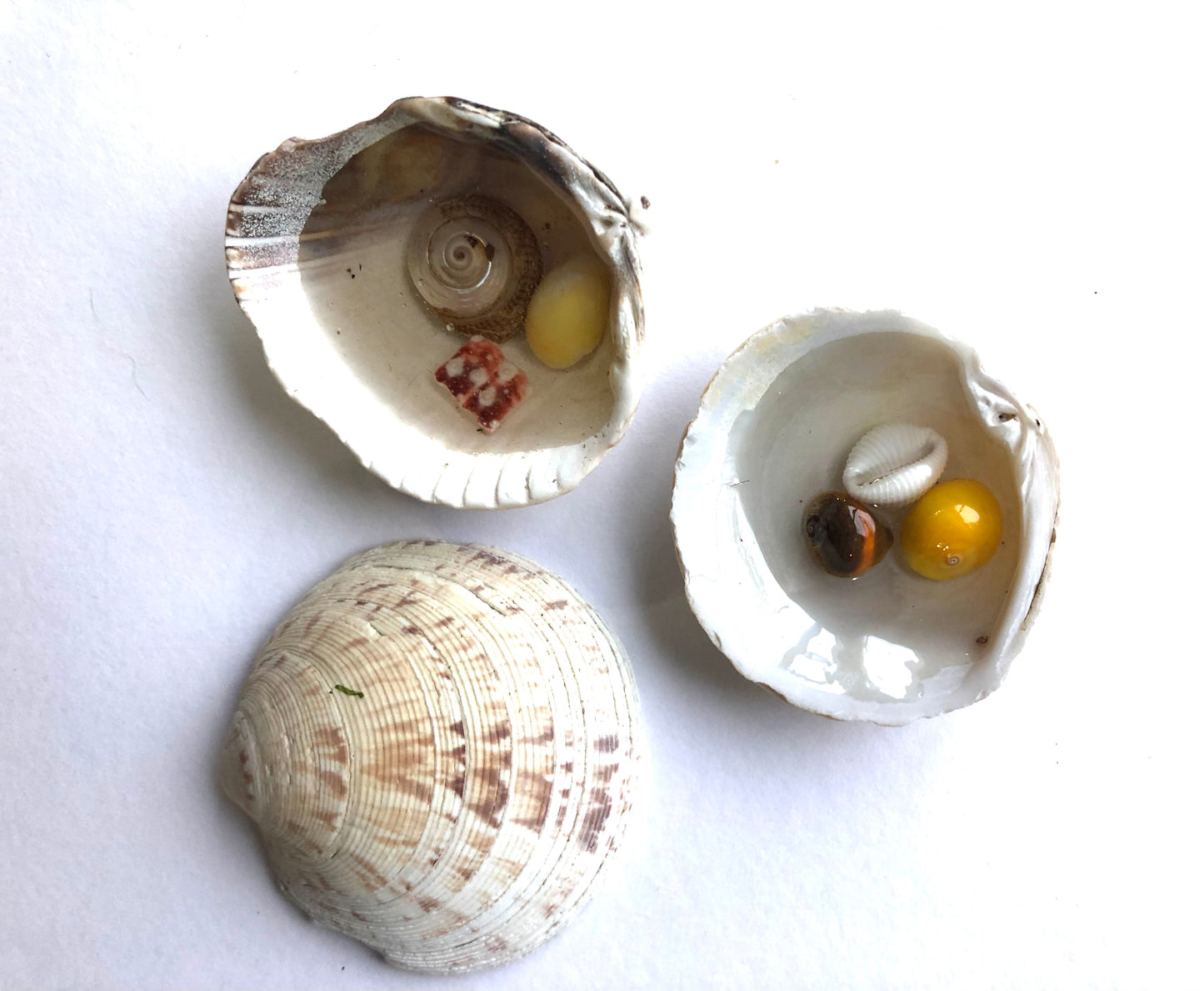 Resin Filled Shell puddles