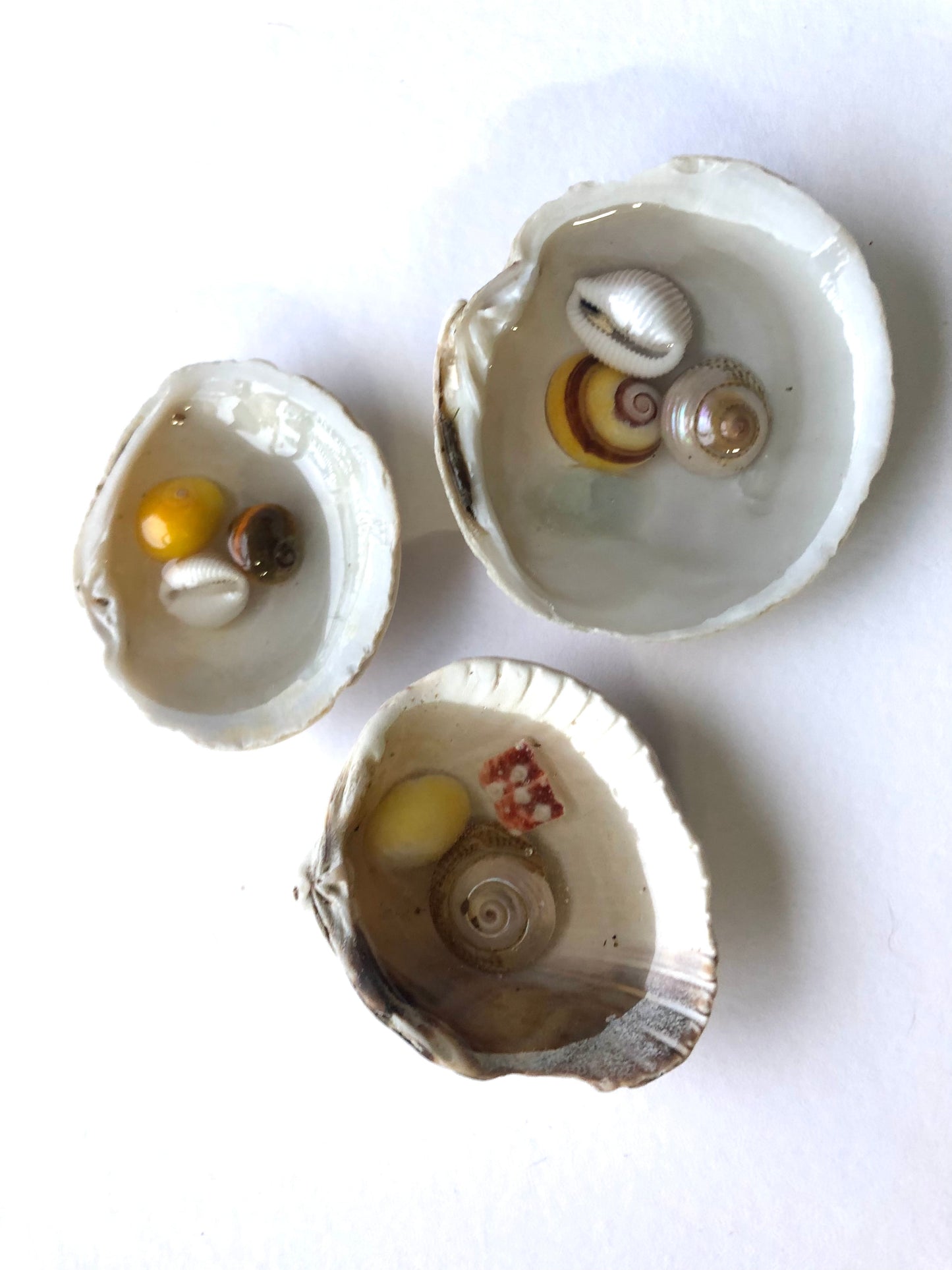 Resin Filled Shell puddles