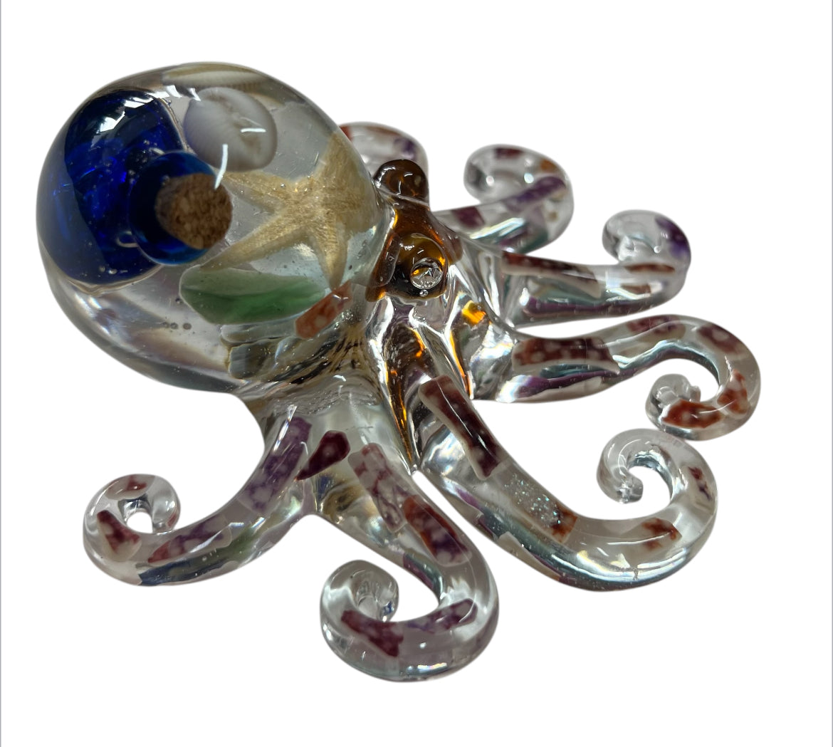 Shetland Octopus