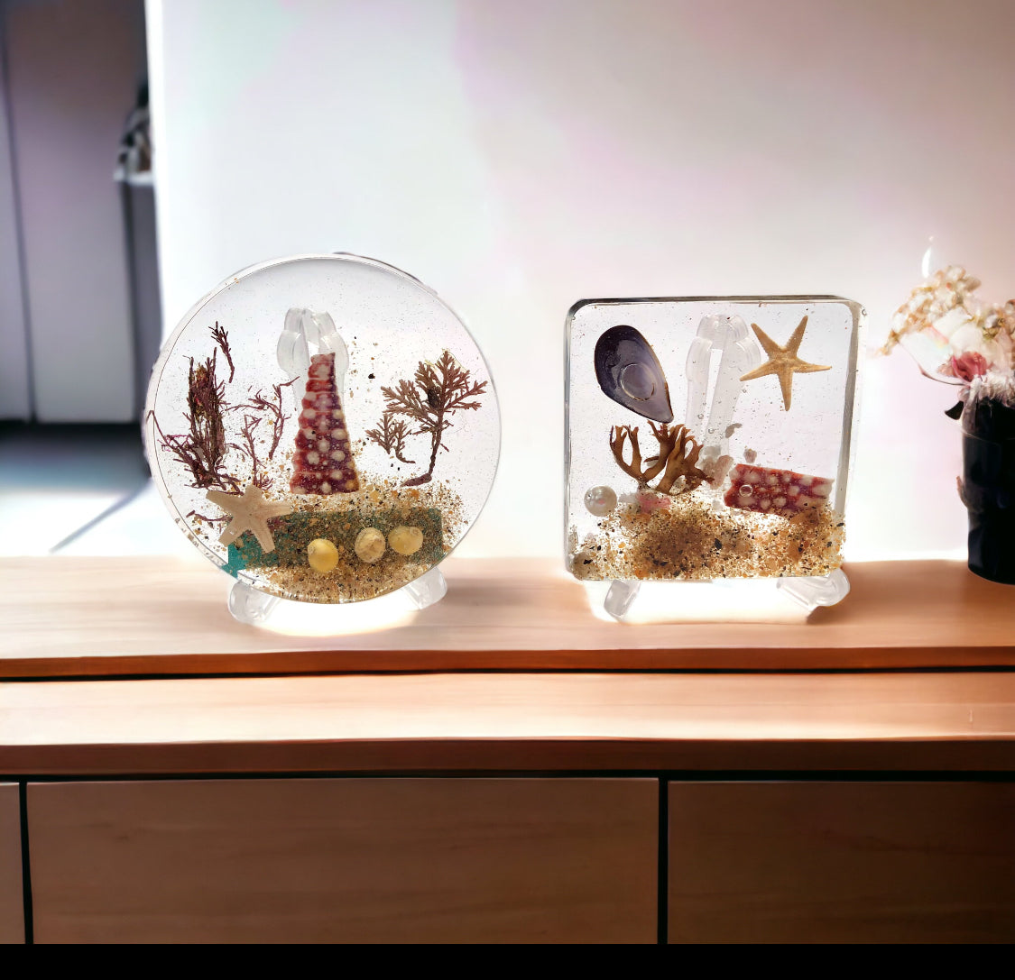 Beach Treasure Ornament & Stand | Various Shapes