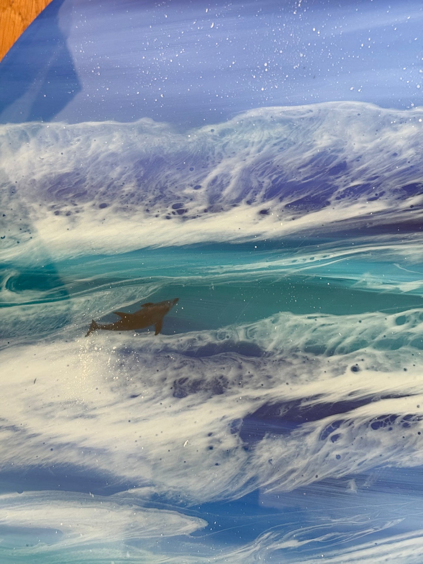 Orcas at sea | 50 cm