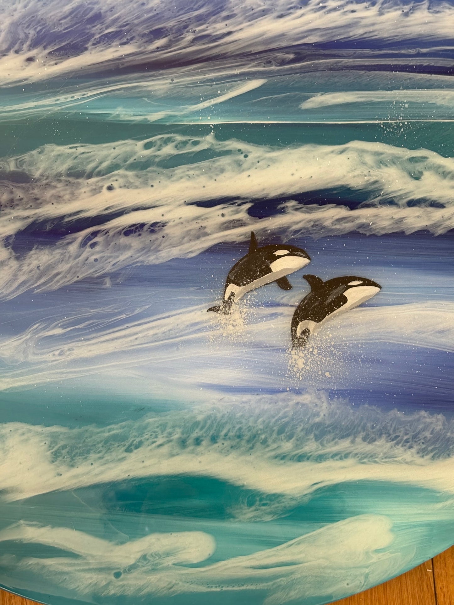 Orcas at sea | 50 cm