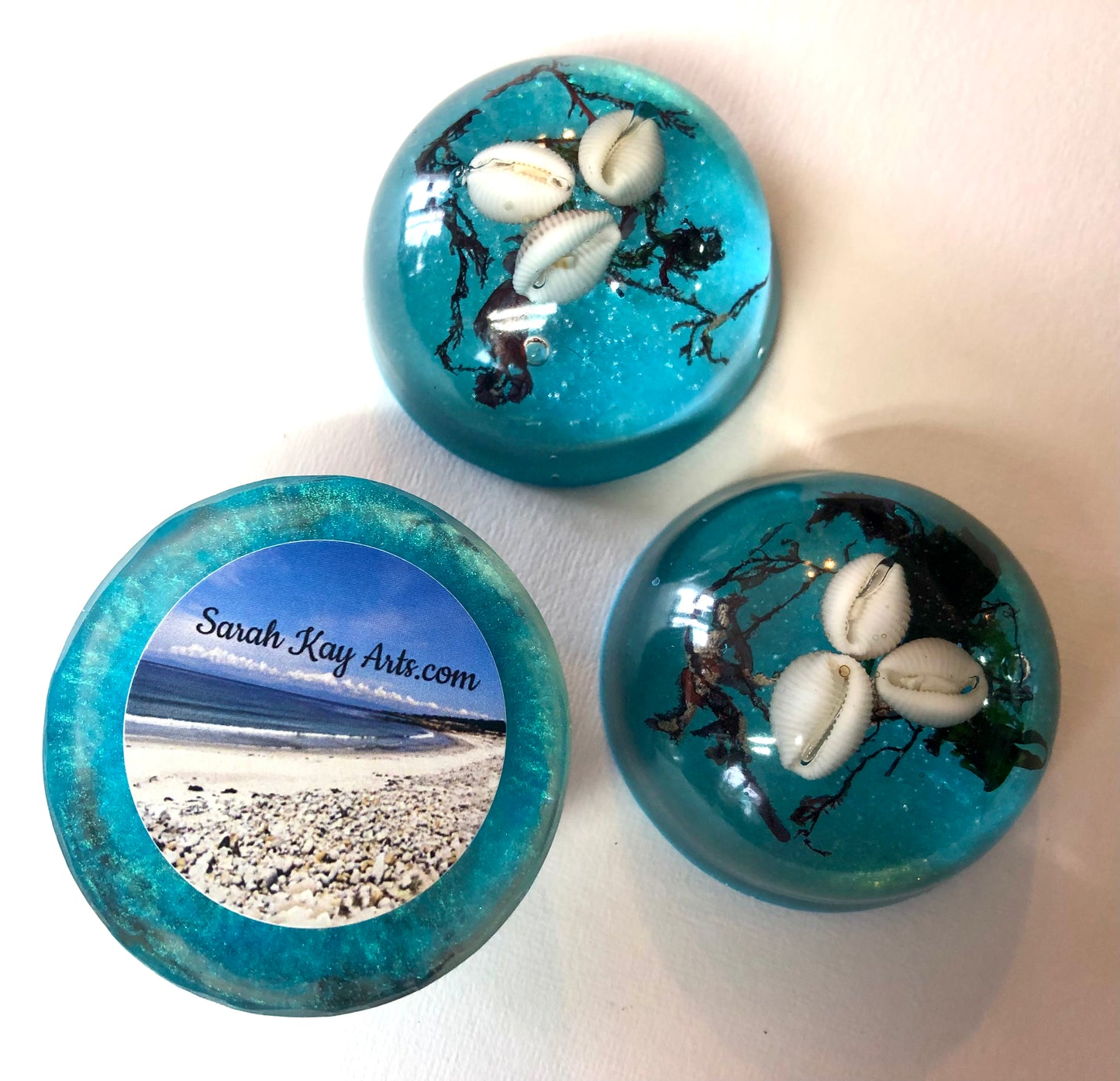 Cowrie shell ornament dome