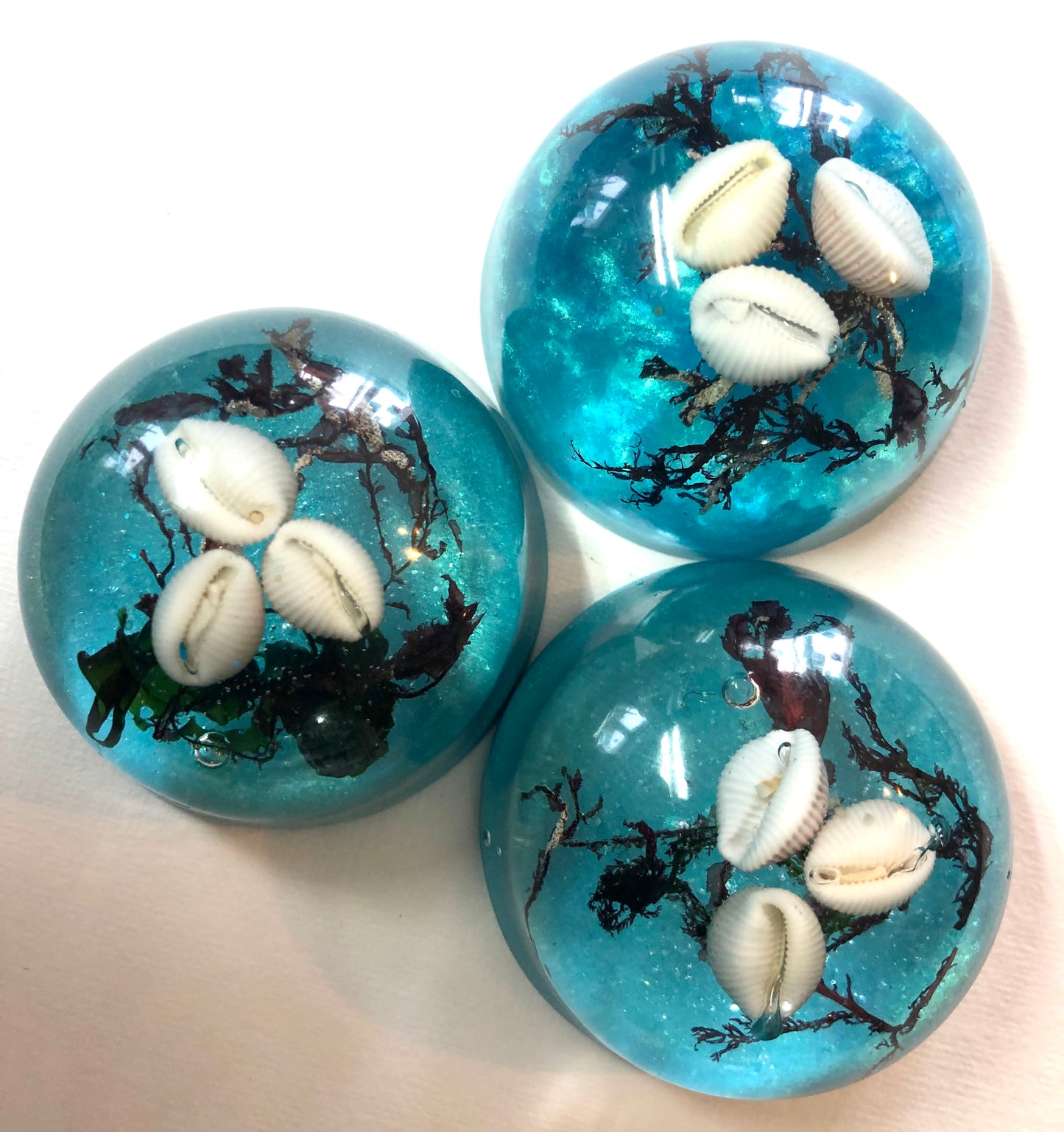 Cowrie shell ornament dome