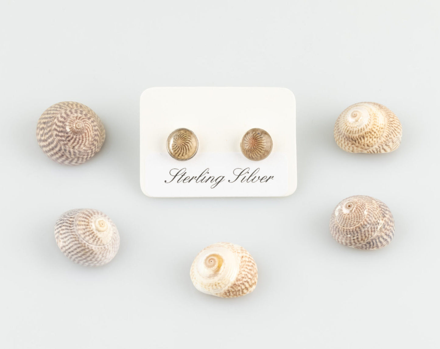 Shell Stud Earrings