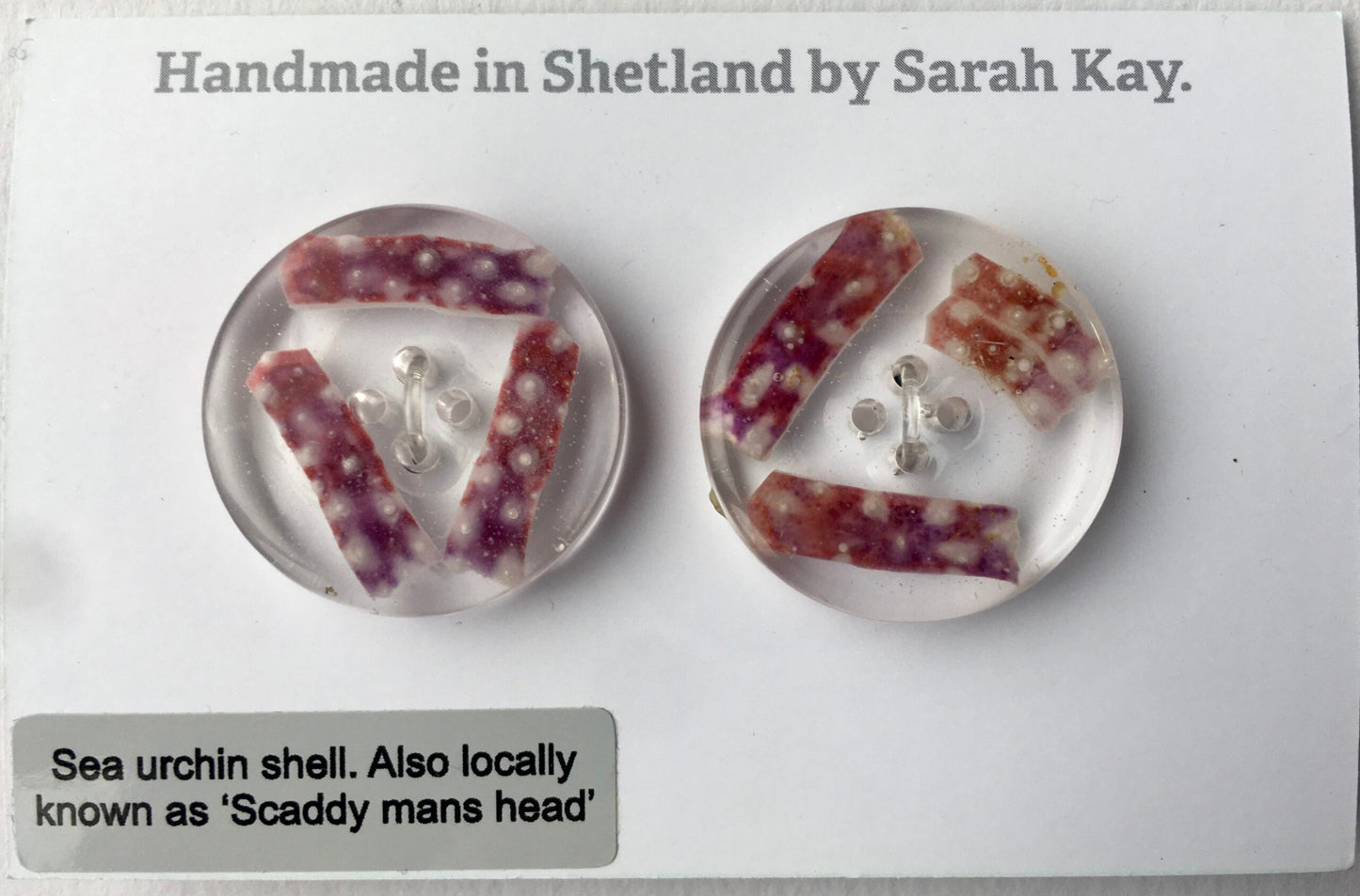 sea urchin button