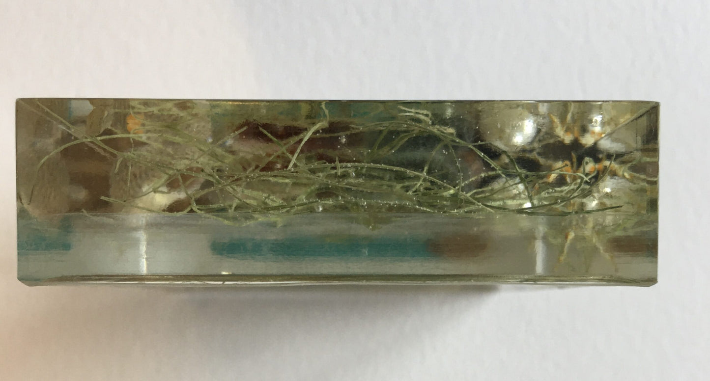 Resin Beach Finds Resin Ornament