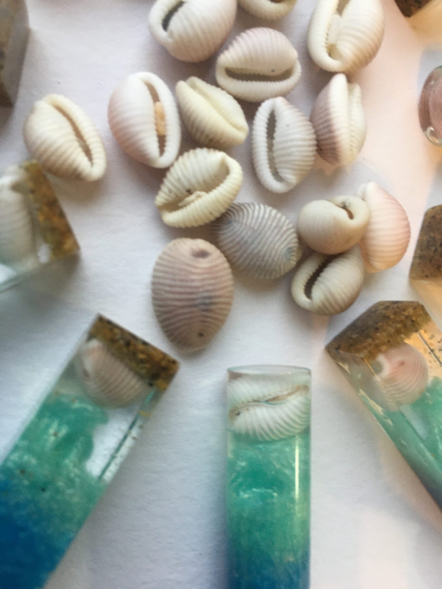 Shetland Groatie Buckie (Cowrie shell) Keyring