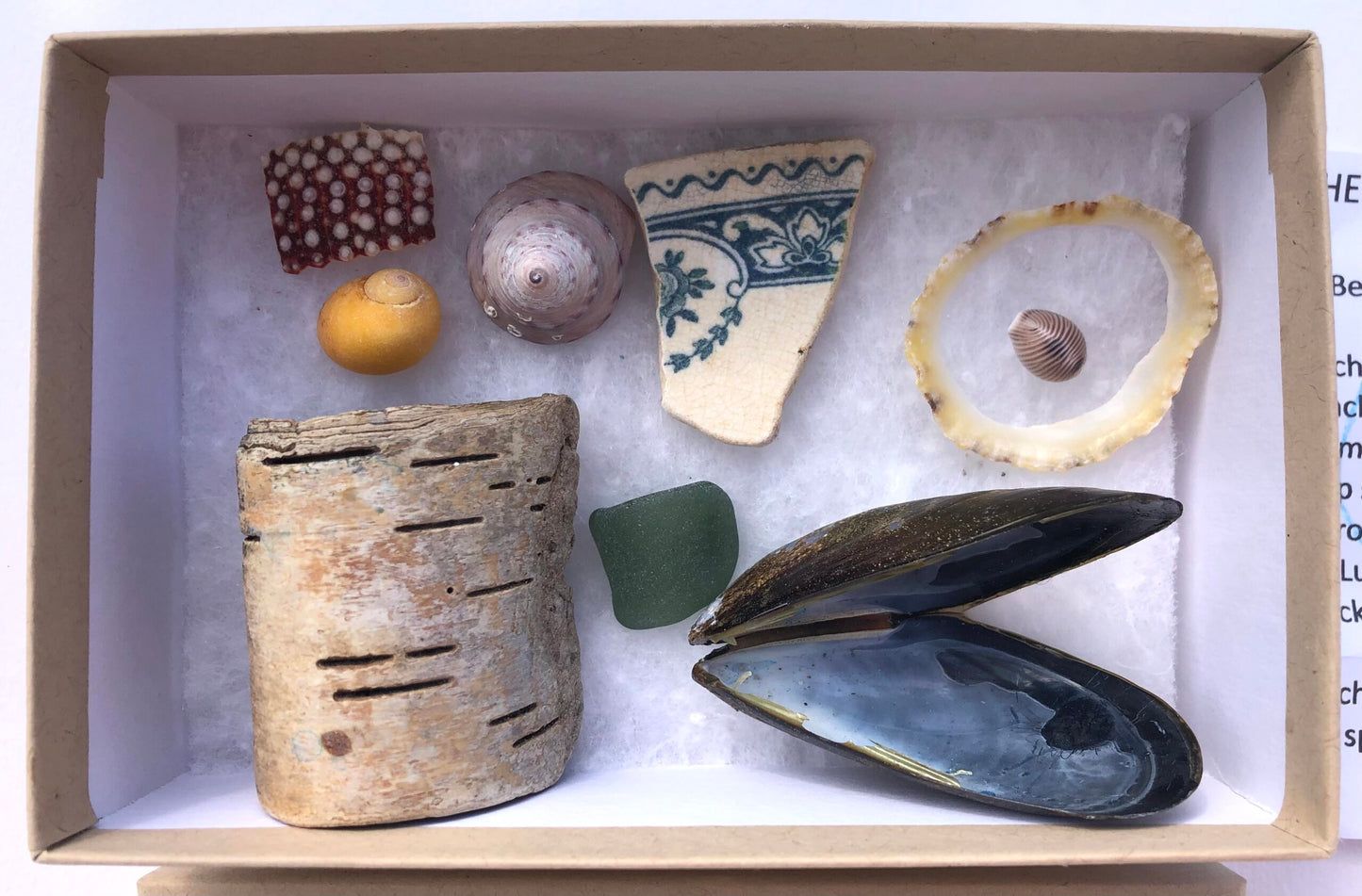 Shetland Treasure Box | small