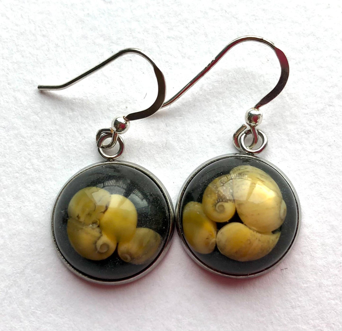 Sunset Beach Earrings With Rare Yellow Whalsay Shells