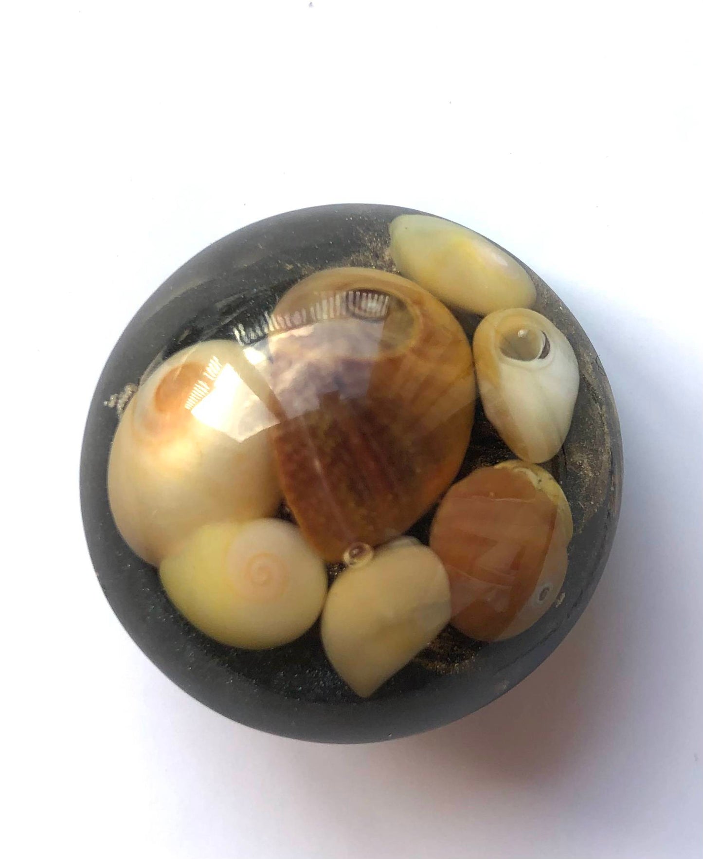 shell brooch