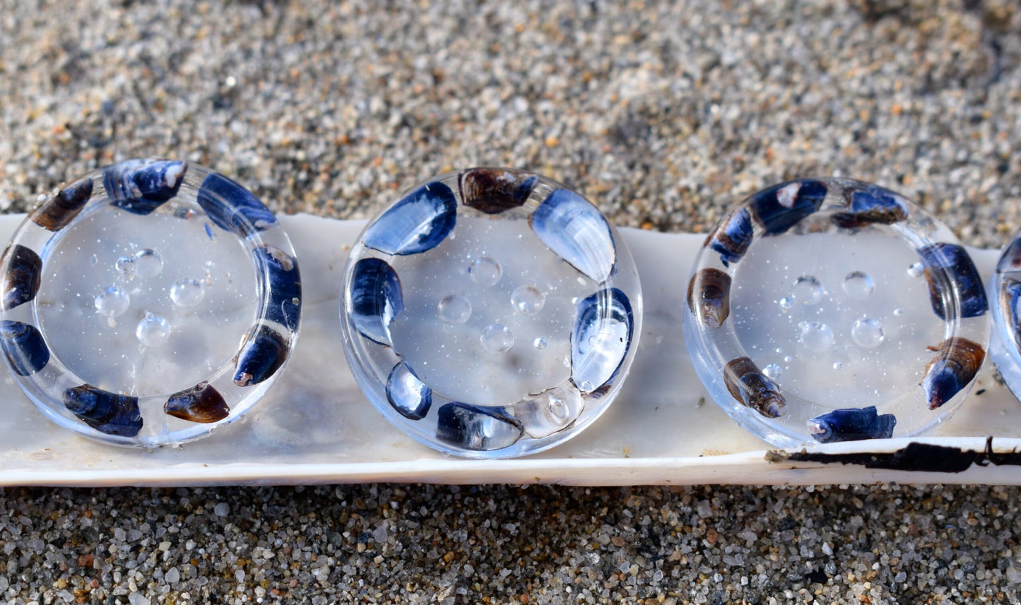 real mussel shells