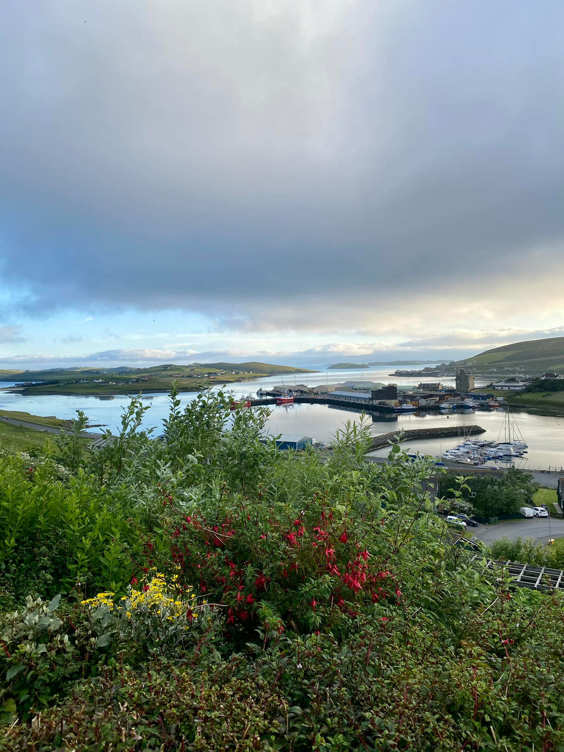 Summer In Shetland at Sarah Kay Arts