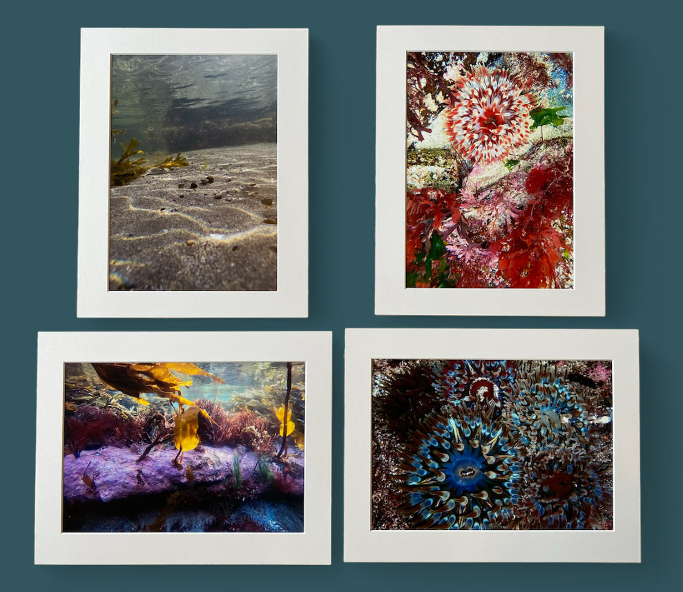 Handmade Greetings Cards Scotland for Every Moment