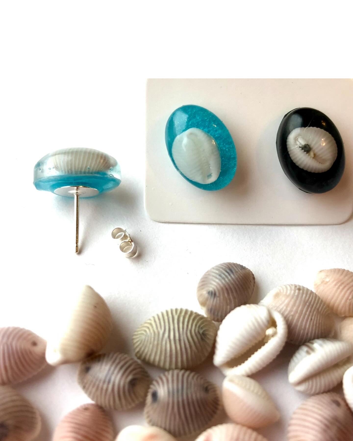 Cowrie Shell studs.
