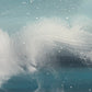 Sea in motion | 30 cm