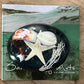 Oval Beach Treasure Brooch