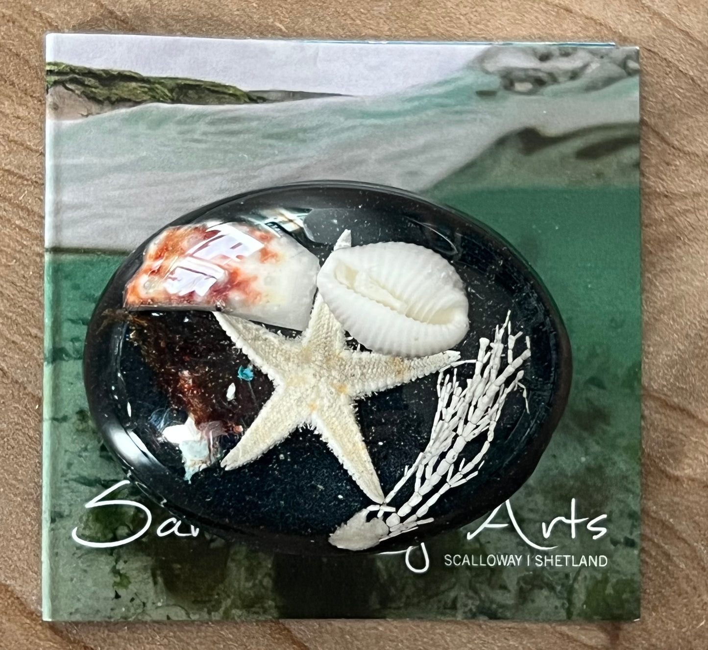 Oval Beach Treasure Brooch