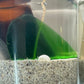 Sea glass Gel Candle