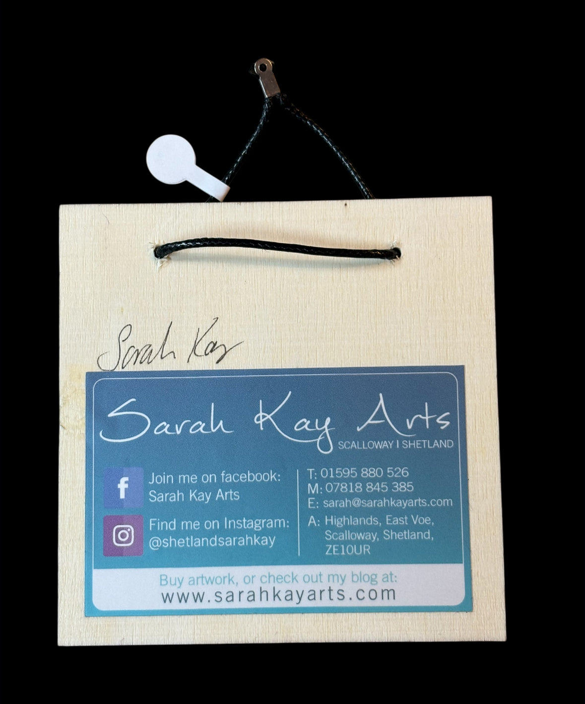 Sea glass birds - mini hanging plaque