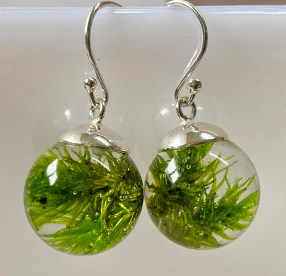Shetland Seaweed Drop Earrings | Green