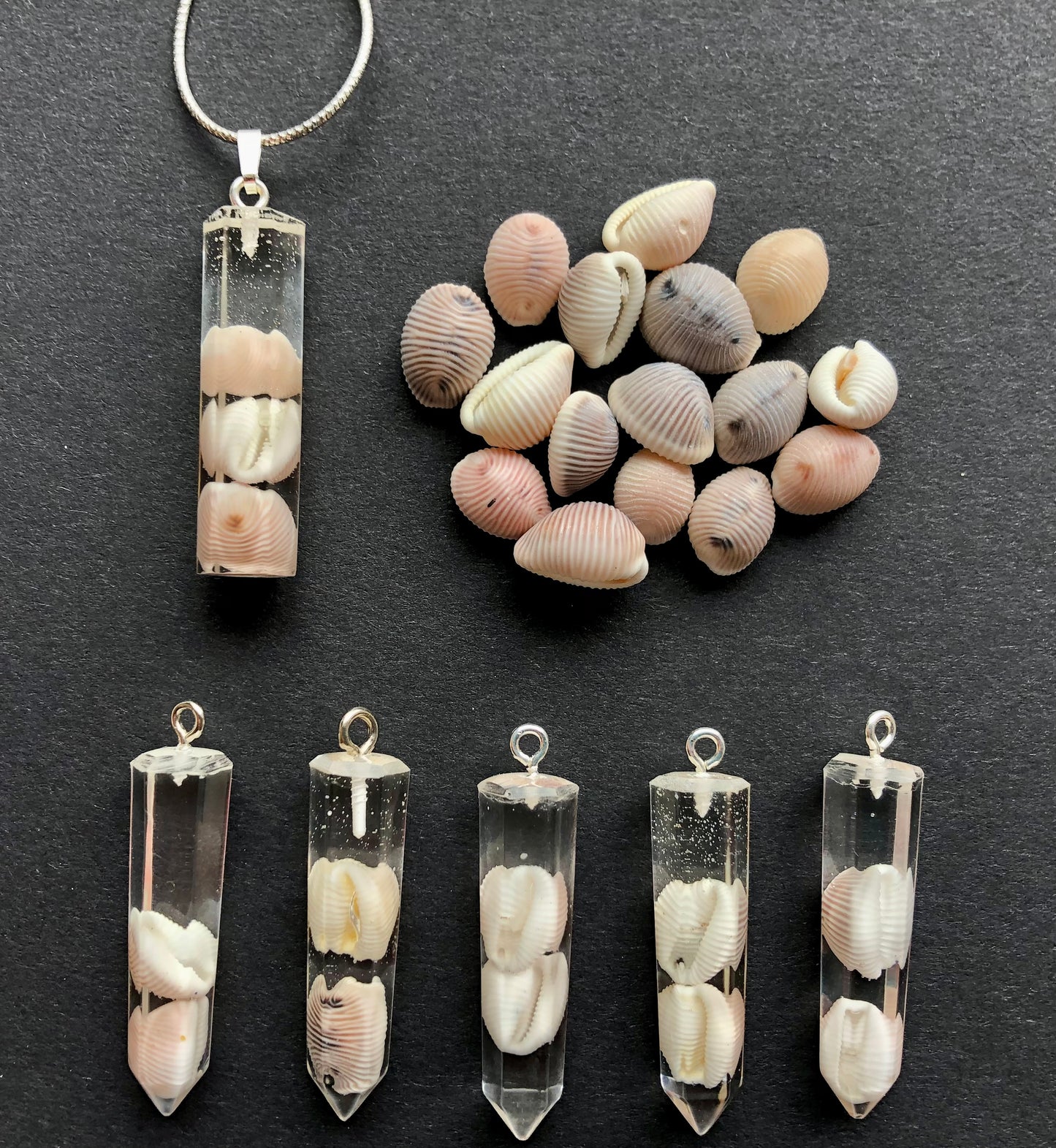 Groatie buckie pendant, Cowrie Shell.