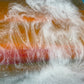 Burning tide seascape | 40 cm