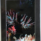 Dahlia sea anemone- photo print.