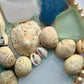 Heart beach Mosaic | greens