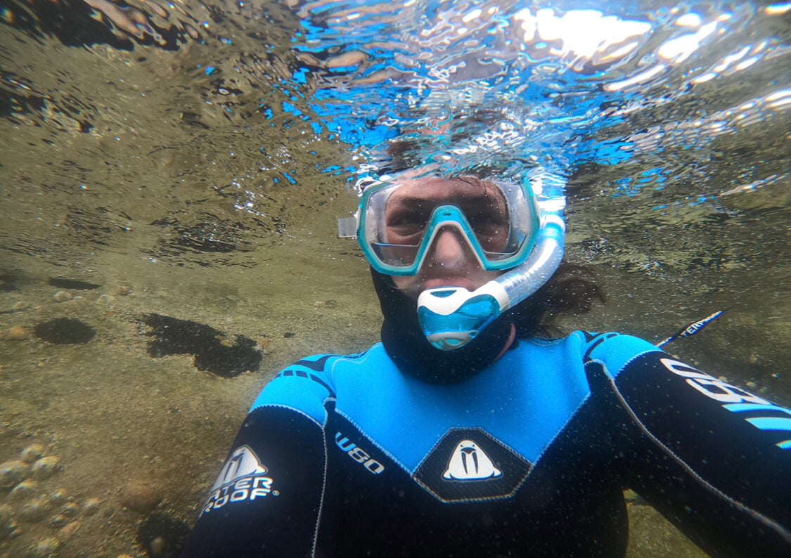 Underwater pic- Anemone