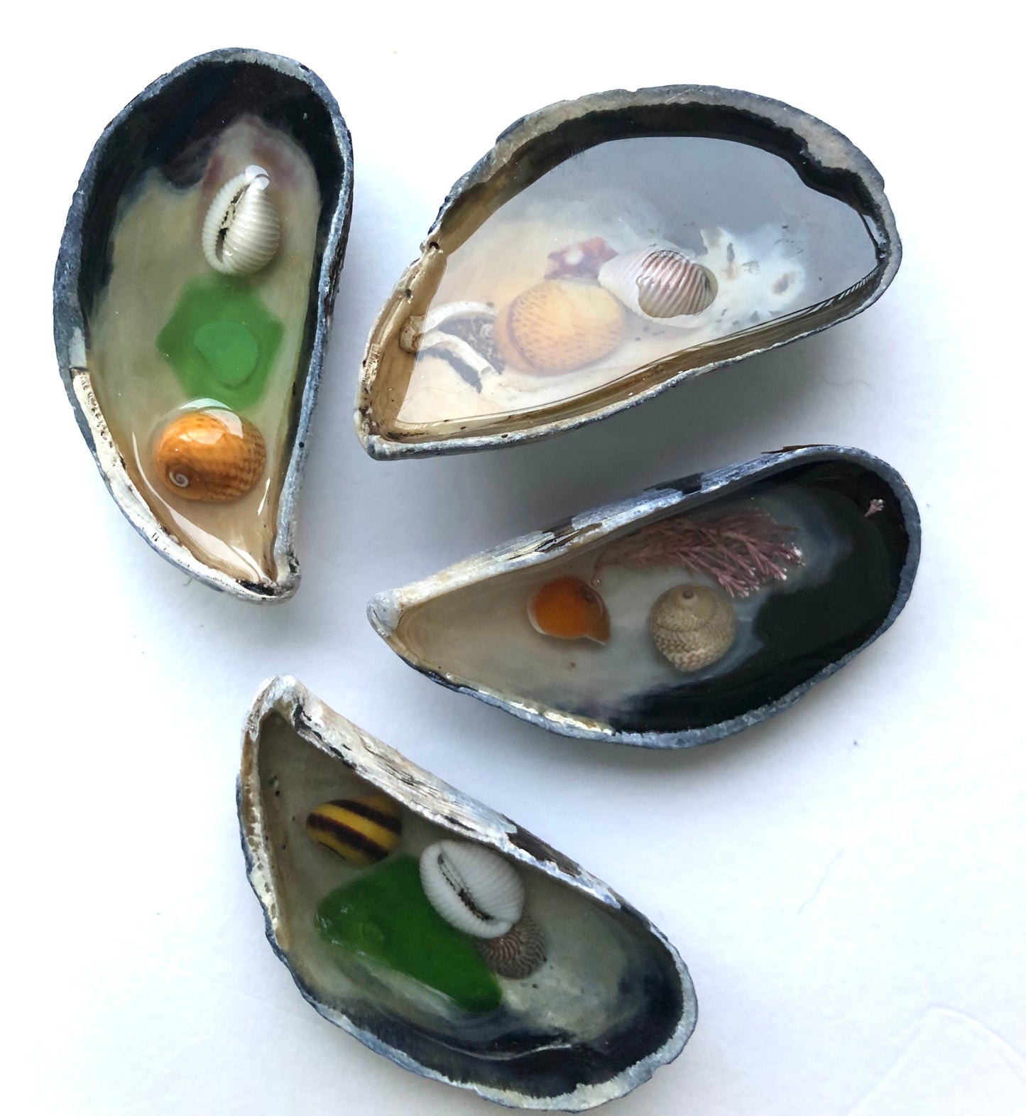Resin Filled Shell puddles