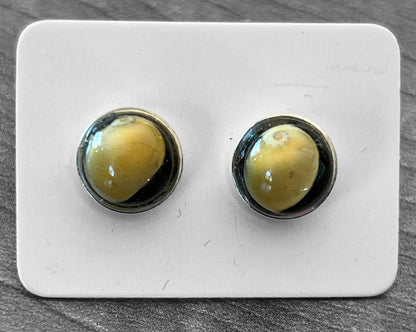 Sunset Beach Earrings With Rare Yellow Whalsay Shells