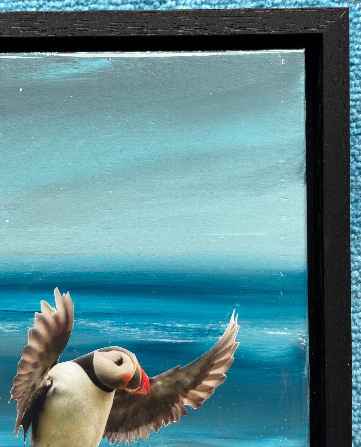 Coming in to land | framed 24cm
