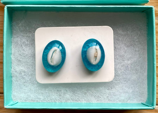 Cowrie Shell studs.