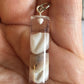 cowrie shell in clear resin pendant